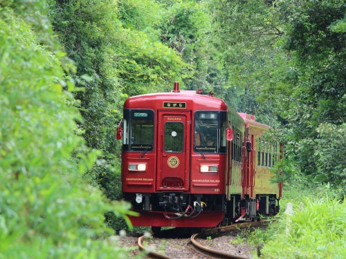 【名古屋発】予約困難!大人気観光列車「ながら」乗車体験&ホテル積翠園で和食ランチ1